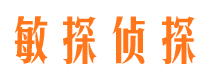 长武市调查公司